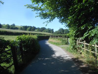 Country lane